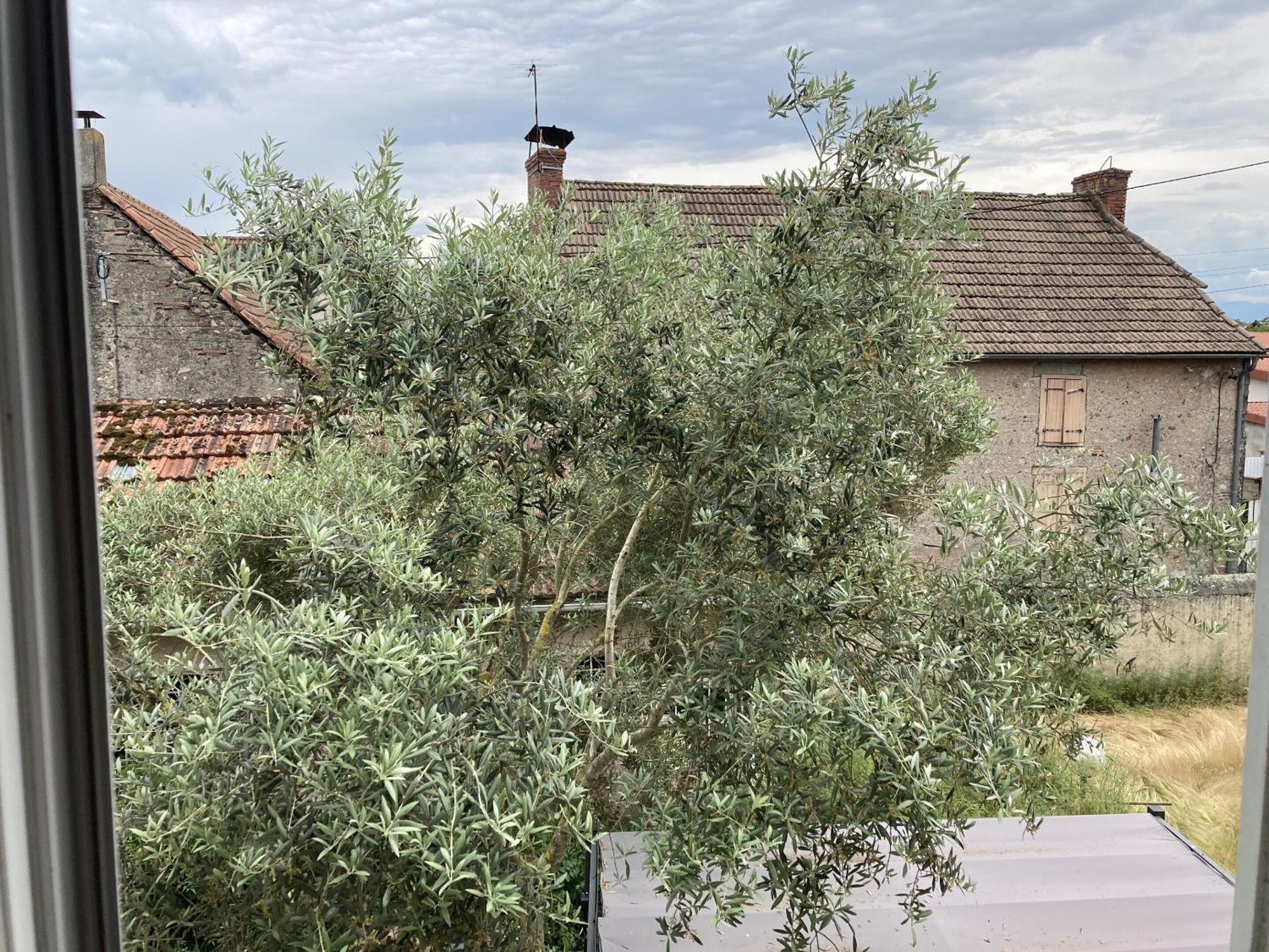 Location Appartement Des Pyrenees Borderes-sur-l'Echez Chambre photo